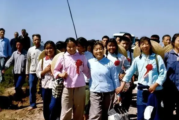 谁才是这个时代最悲催的一代人?,image.png,第4张